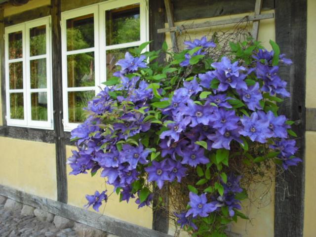Landhaus Kiesow Suderburg Екстериор снимка